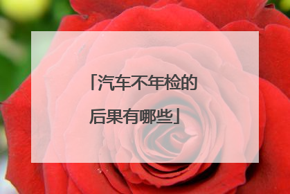 汽车不年检的后果有哪些
