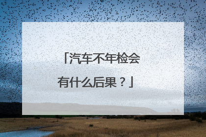 汽车不年检会有什么后果？