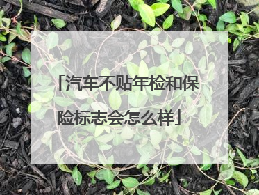 汽车不贴年检和保险标志会怎么样