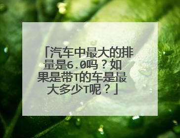 汽车中最大的排量是6.0吗？如果是带T的车是最大多少T呢？