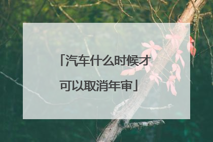 汽车什么时候才可以取消年审