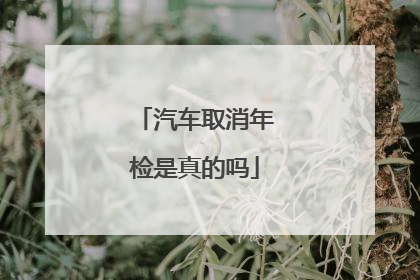 汽车取消年检是真的吗