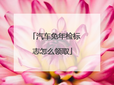 汽车免年检标志怎么领取