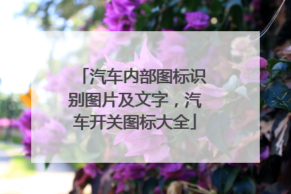 汽车内部图标识别图片及文字，汽车开关图标大全