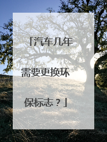 汽车几年需要更换环保标志？