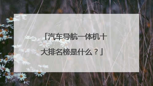 汽车导航一体机十大排名榜是什么？