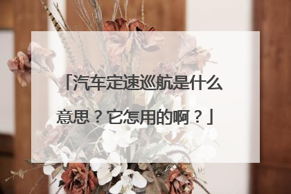汽车定速巡航是什么意思？它怎用的啊？