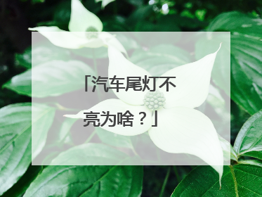 汽车尾灯不亮为啥？