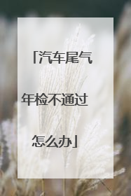 汽车尾气年检不通过怎么办