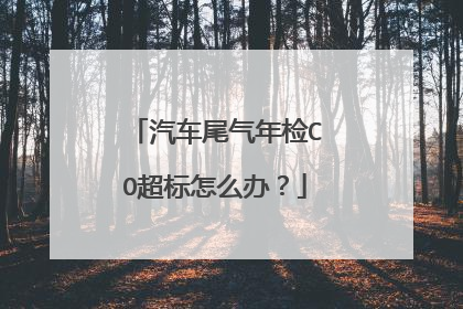 汽车尾气年检CO超标怎么办？