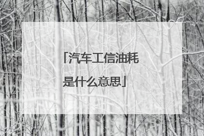 汽车工信油耗是什么意思