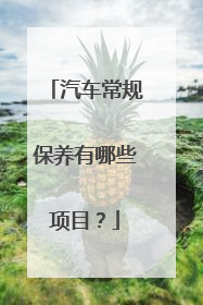 汽车常规保养有哪些项目？