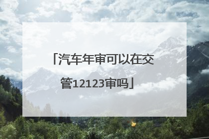 汽车年审可以在交管12123审吗