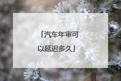 汽车年审可以延迟多久