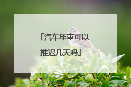 汽车年审可以推迟几天吗