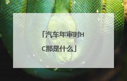 汽车年审时HC那是什么