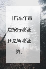 汽车年审是按行驶证还是驾驶证算