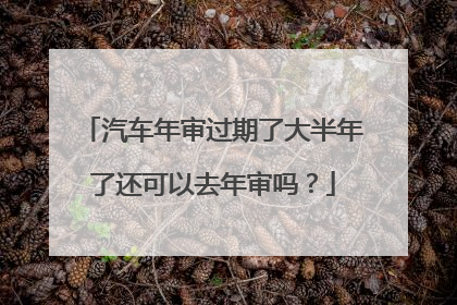 汽车年审过期了大半年了还可以去年审吗？