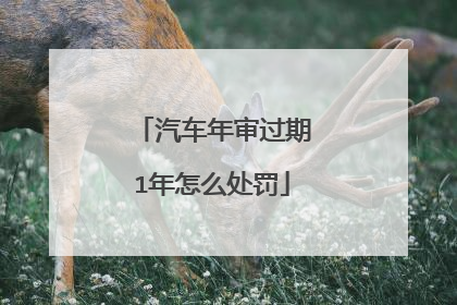 汽车年审过期1年怎么处罚