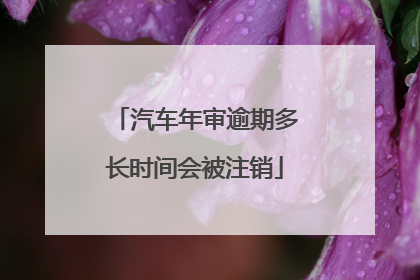 汽车年审逾期多长时间会被注销