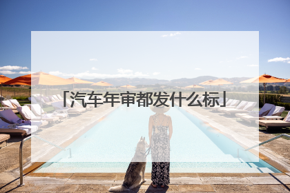 汽车年审都发什么标