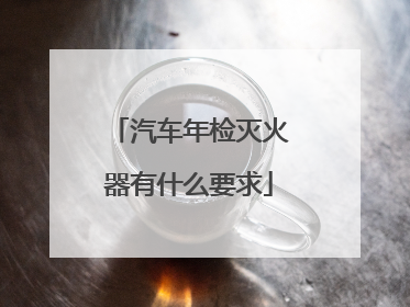 汽车年检灭火器有什么要求