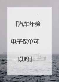 汽车年检电子保单可以吗