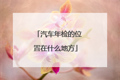 汽车年检的位置在什么地方