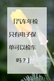 汽车年检只有电子保单可以检车吗？