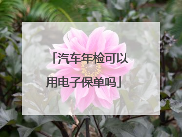 汽车年检可以用电子保单吗