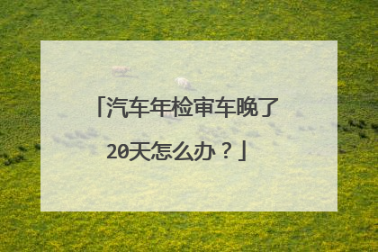 汽车年检审车晚了20天怎么办？