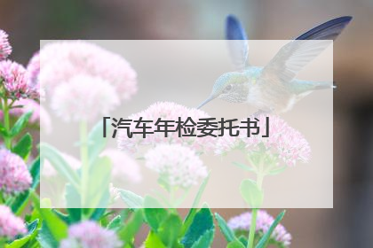 汽车年检委托书