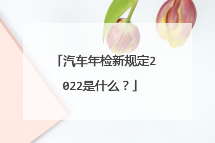汽车年检新规定2022是什么？