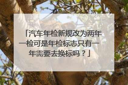 汽车年检新规改为两年一检可是年检标志只有一年需要去换标吗？