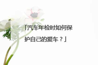 汽车年检时如何保护自己的爱车？