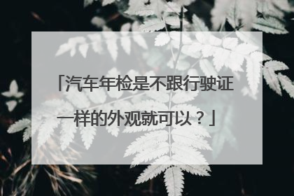 汽车年检是不跟行驶证一样的外观就可以？