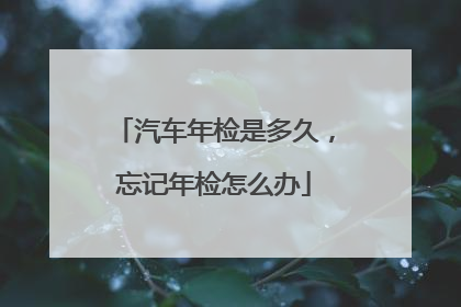 汽车年检是多久，忘记年检怎么办