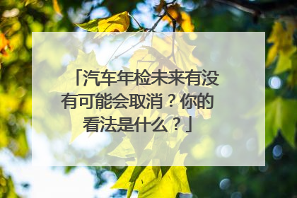 汽车年检未来有没有可能会取消？你的看法是什么？