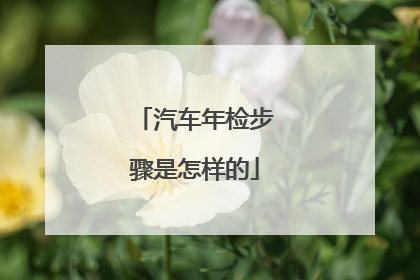 汽车年检步骤是怎样的