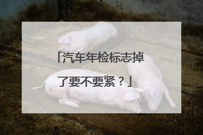 汽车年检标志掉了要不要紧？