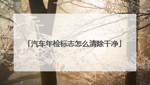 汽车年检标志怎么清除干净