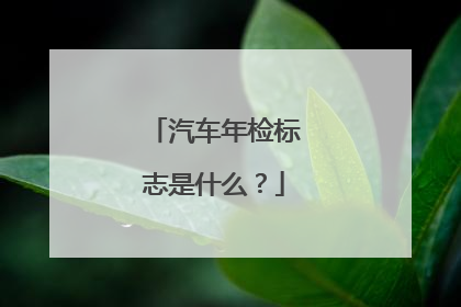 汽车年检标志是什么？