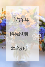 汽车年检标过期怎么办