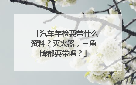 汽车年检要带什么资料？灭火器，三角牌都要带吗？