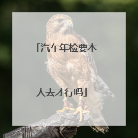 汽车年检要本人去才行吗