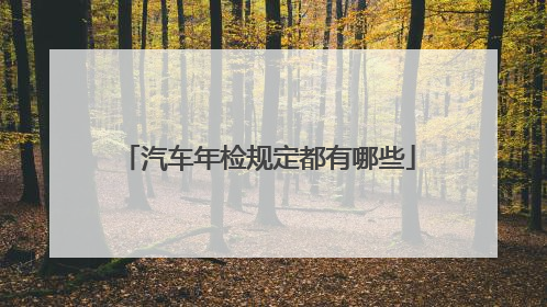 汽车年检规定都有哪些
