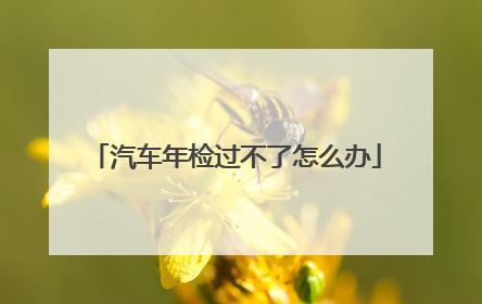 汽车年检过不了怎么办