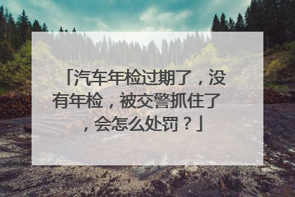 汽车年检过期了，没有年检，被交警抓住了，会怎么处罚？