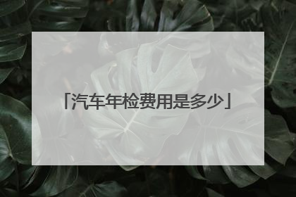 汽车年检费用是多少