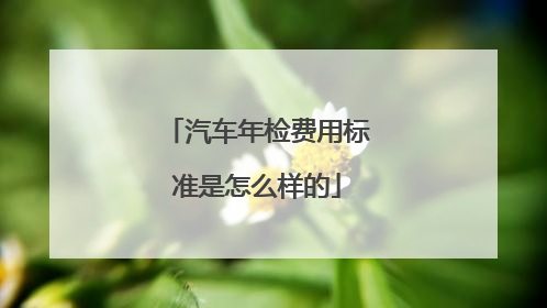 汽车年检费用标准是怎么样的